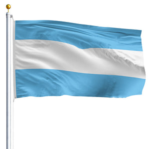 4' x 6' Argentina Flag No Seal