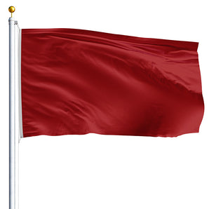 10" x 15" Protest Flag - Nylon