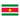 Suriname Flag