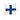 X - Xray Flag - Size 3