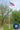 flagpoles-external-07.jpg__PID:db0c0934-3fbf-4659-90cf-cb98d26e3f4a
