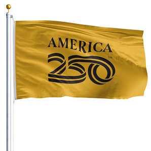 8' x 12' America 250 Flag - Gold