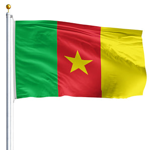 2' x 3' Cameroon Flag