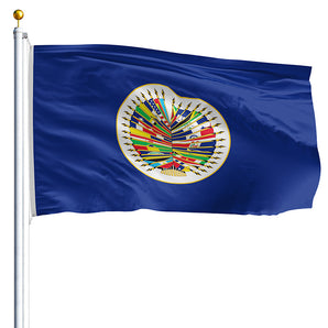 2' x 3' Organization of American States Flag
