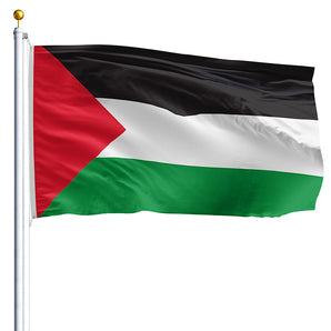 2' x 3' Palestine Flag