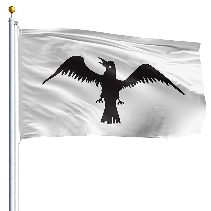 3' x 5' Raven Flag - Nylon