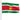 2' x 3' Suriname Flag