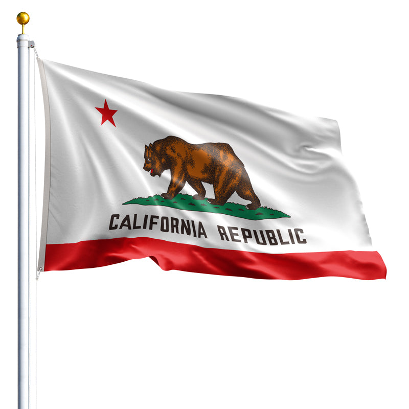 6' x 10' California Flag - Nylon
