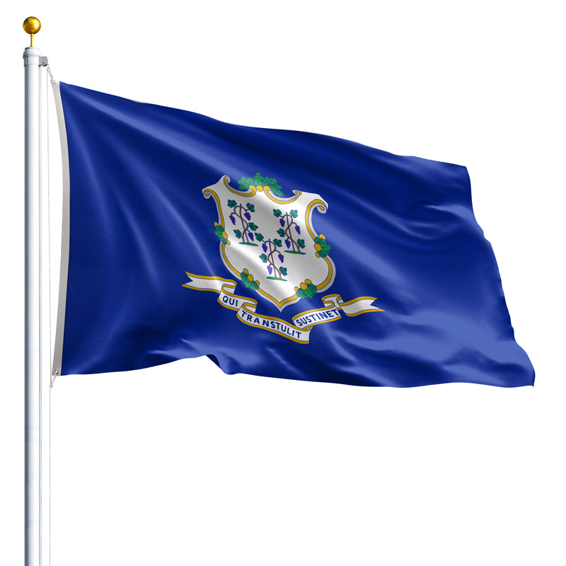 6' x 10' Connecticut Flag - Nylon – Eder Flag