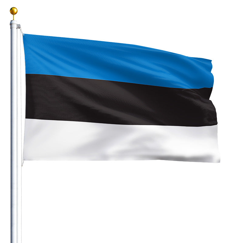 6' x 10' Estonian Flag