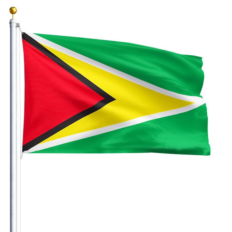 6' x 10' Guyana Flag