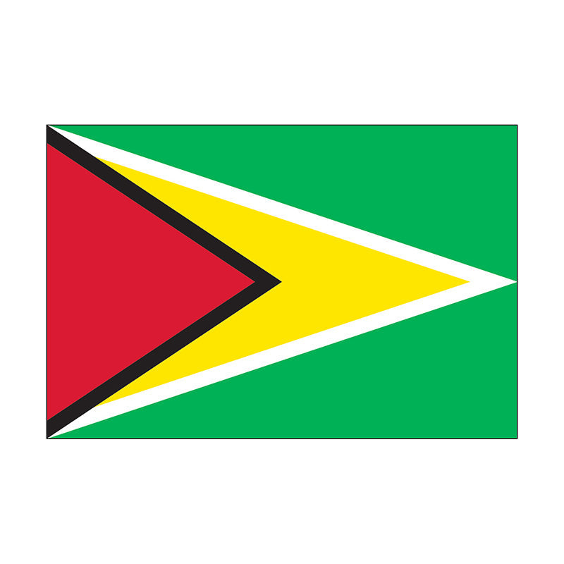 4' x 6' Guyana - Nylon