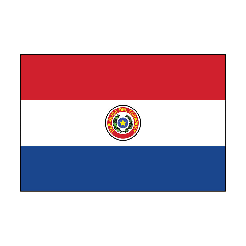 4' x 6' Paraguay - Nylon