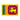 Sri Lanka Flag