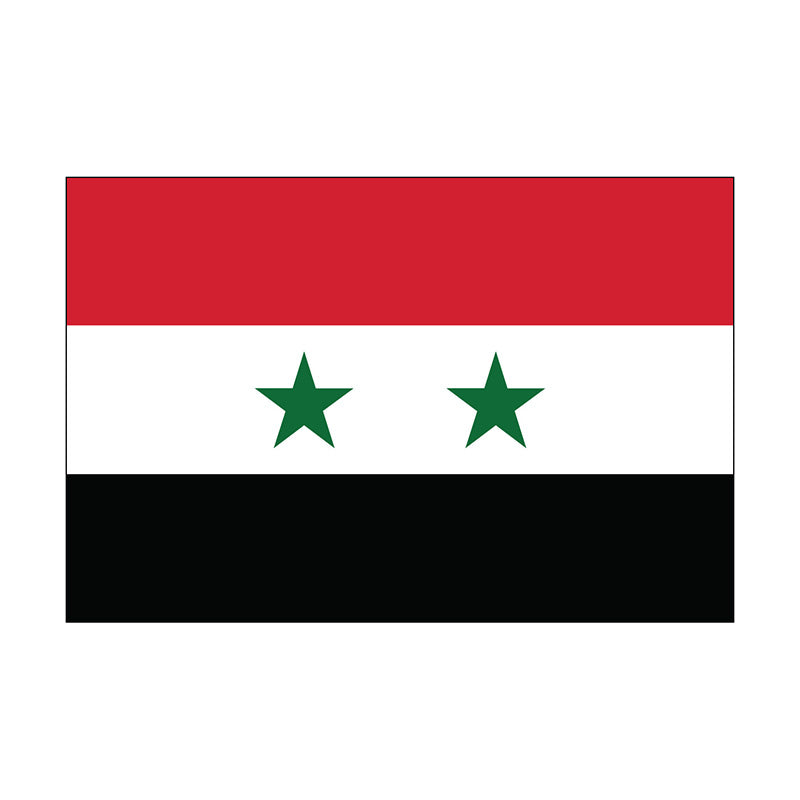 5' x 8' Syria - Nylon