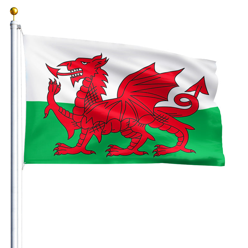 4' x 6' Wales - Nylon